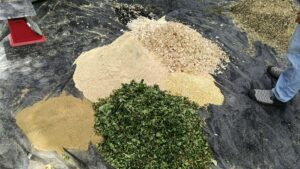 Locally sourced ingredients prepared for organic feed production.