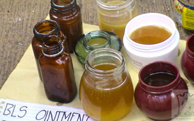 Health Orientation and Herbal Medicine Preparation Training