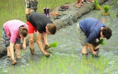 Young Austrians visited Tanglag, a community of Indigenous Peoples in the Cordillera Region