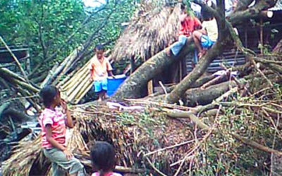 Typhoon Pedring leaves fatalities…
