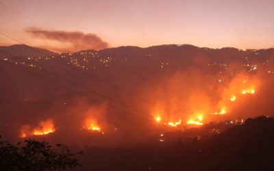 March is Fire Prevention Month | Forest Fire