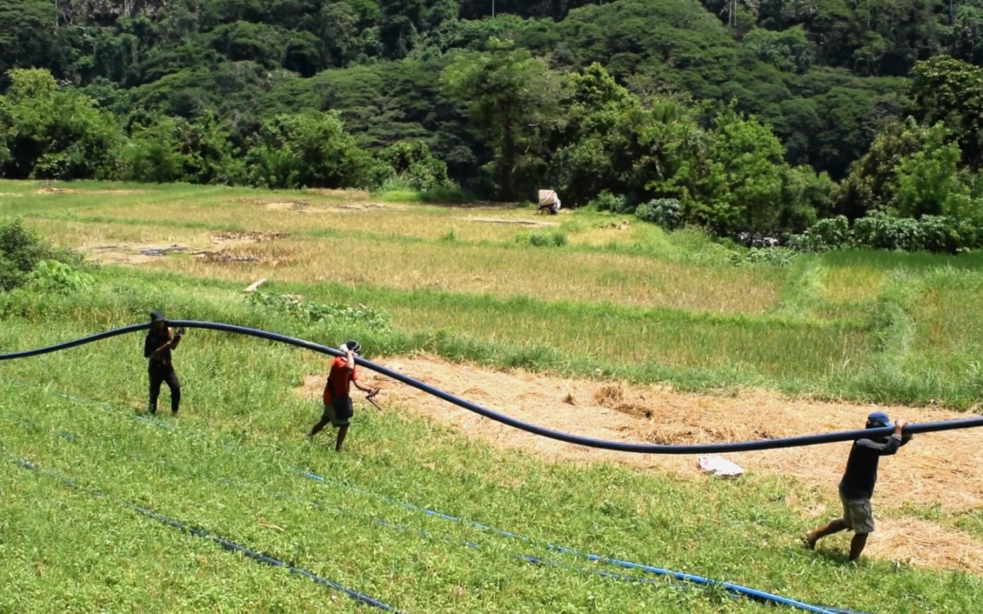 Indigenous Community in Barangay Dupag Revives Traditional Practices to Combat Climate Change