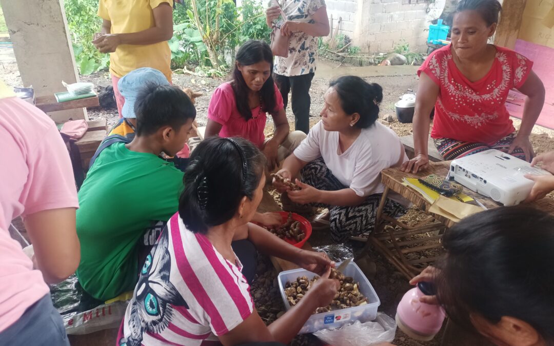 The Alternatives of Controlling Pest by the Rural Farmers