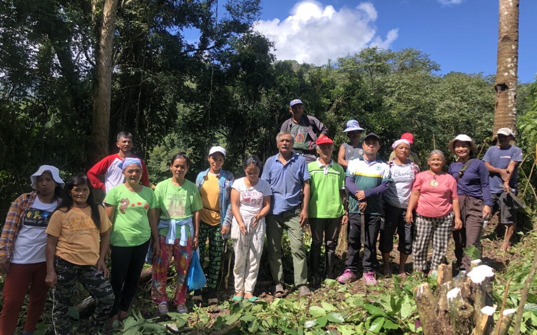 Kalinga Coffee Farmers Trained on Coffee Rejuvenation